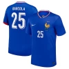 Barcola #25 Frankrig Fodboldtrøjer EM 2024 Hjemmebanetrøje Mænd
