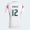 Denes Dibusz #23 Ungarn Fodboldtrøjer EM 2024 Udebanetrøje Mænd
