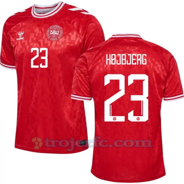 Hojbjerg #23 Danmark Fodboldtrøjer EM 2024 Hjemmebanetrøje Mænd