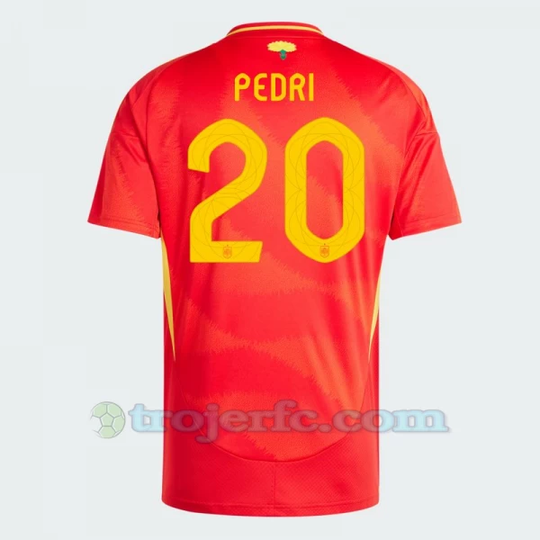 Pedri #20 Spanien Fodboldtrøjer EM 2024 Hjemmebanetrøje Mænd